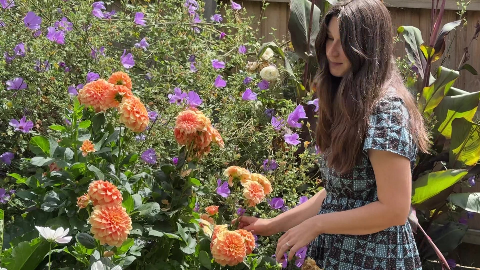 Meet the urbanites changing the face of agricultural shows