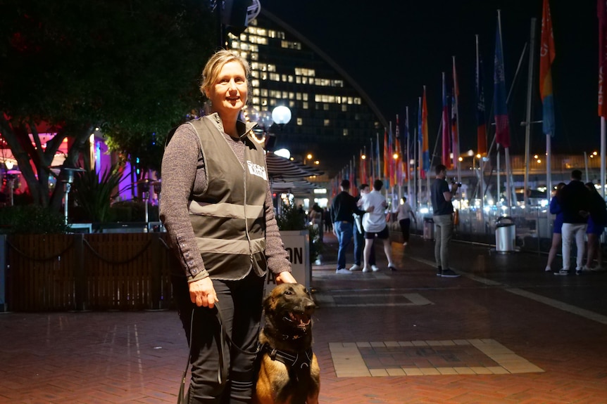 A smiling woman with blonde hair tied back standing with a dog, wears brown top, jeans, and a vest., street lit up, crowds.