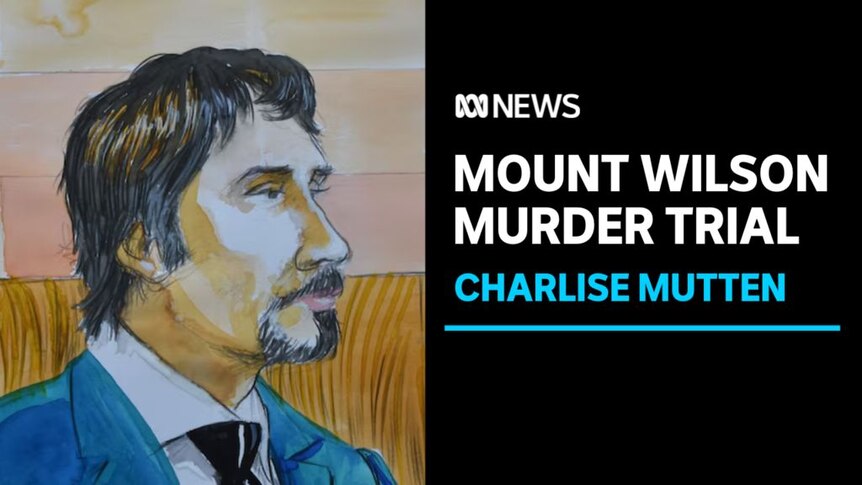 Mount Wilson Murder Trial, Charlise Mutten: A courtroom sketch of a man with brown hair and a goatee style beard.