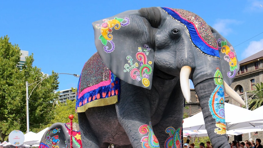 Elephant float in Moomba parade