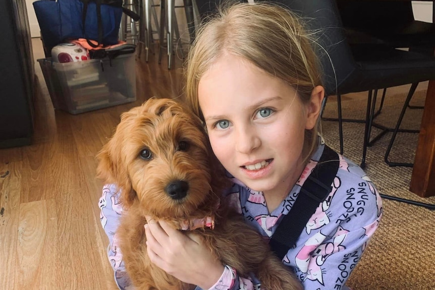 A fair-haired young girl kneels down in a house and cuddles a puppy.
