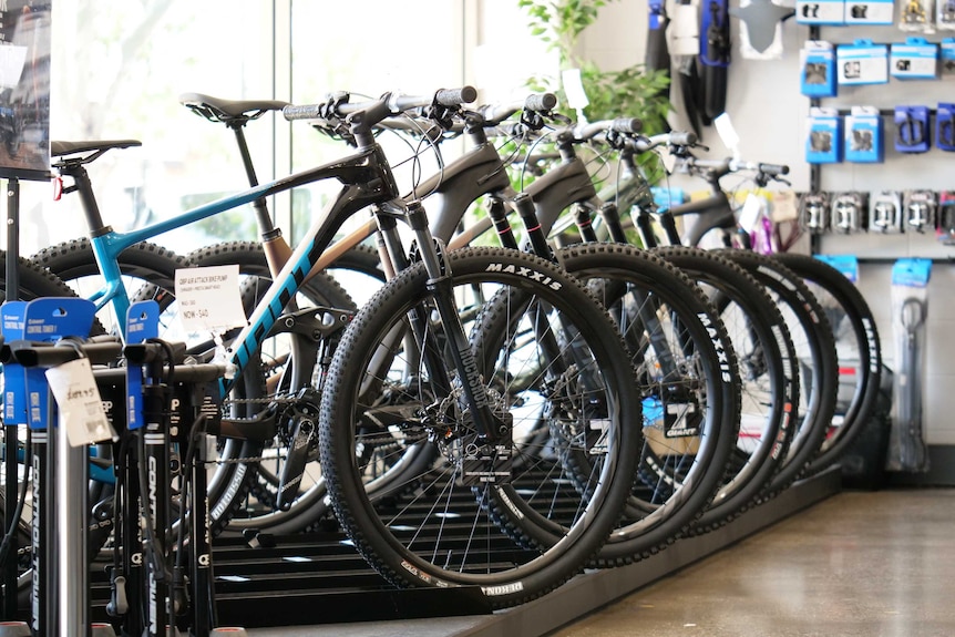 Rows of bicycles lined up on display in a bike shop.