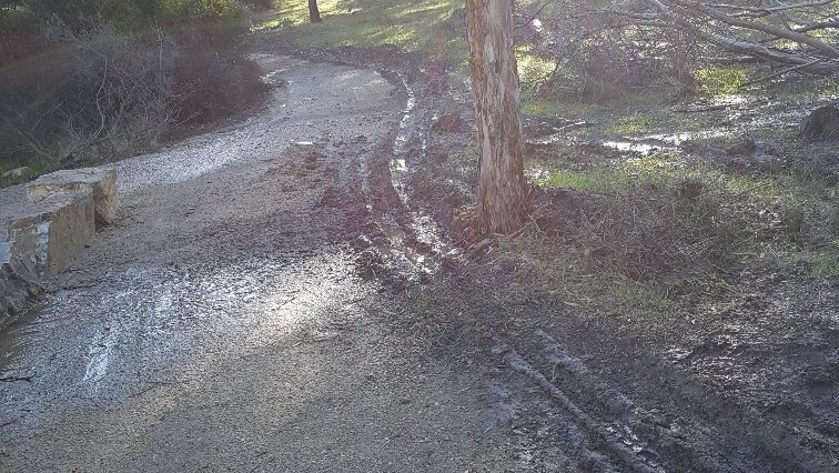 Damage to the new Punchbowl Lookout trail.