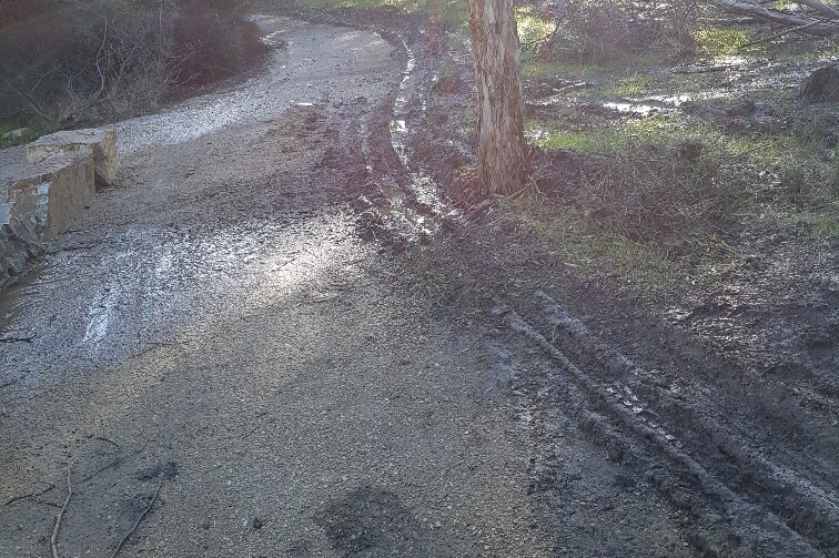 Damage to the new Punchbowl Lookout trail.