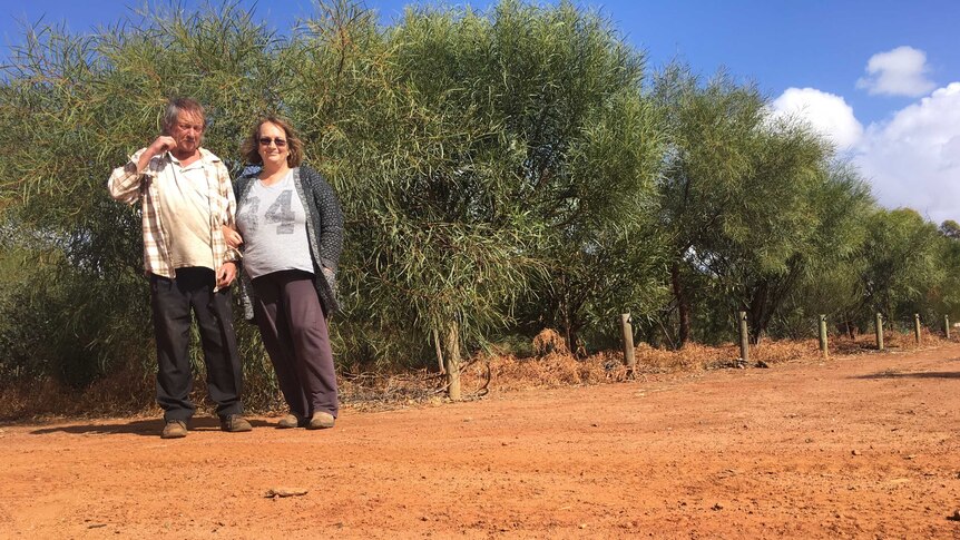 Barry and Karry Fisher stand in front of their sandalwood trees at the property in Brookton.