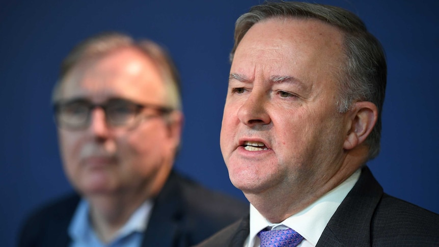 Anthony Albanese and Michael Lavarch (blurred in the background) speak at a media conference.