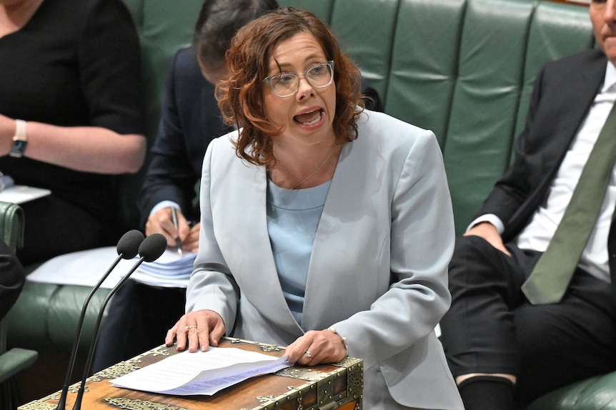 Amanda speaks in the House of Representatives in a pale blue suit.