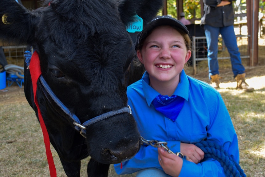 A black cow and a young girl stand next to each other