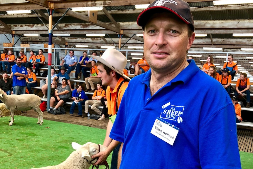 A man standing in front of sheep at expo in Adelaide Showgrounds