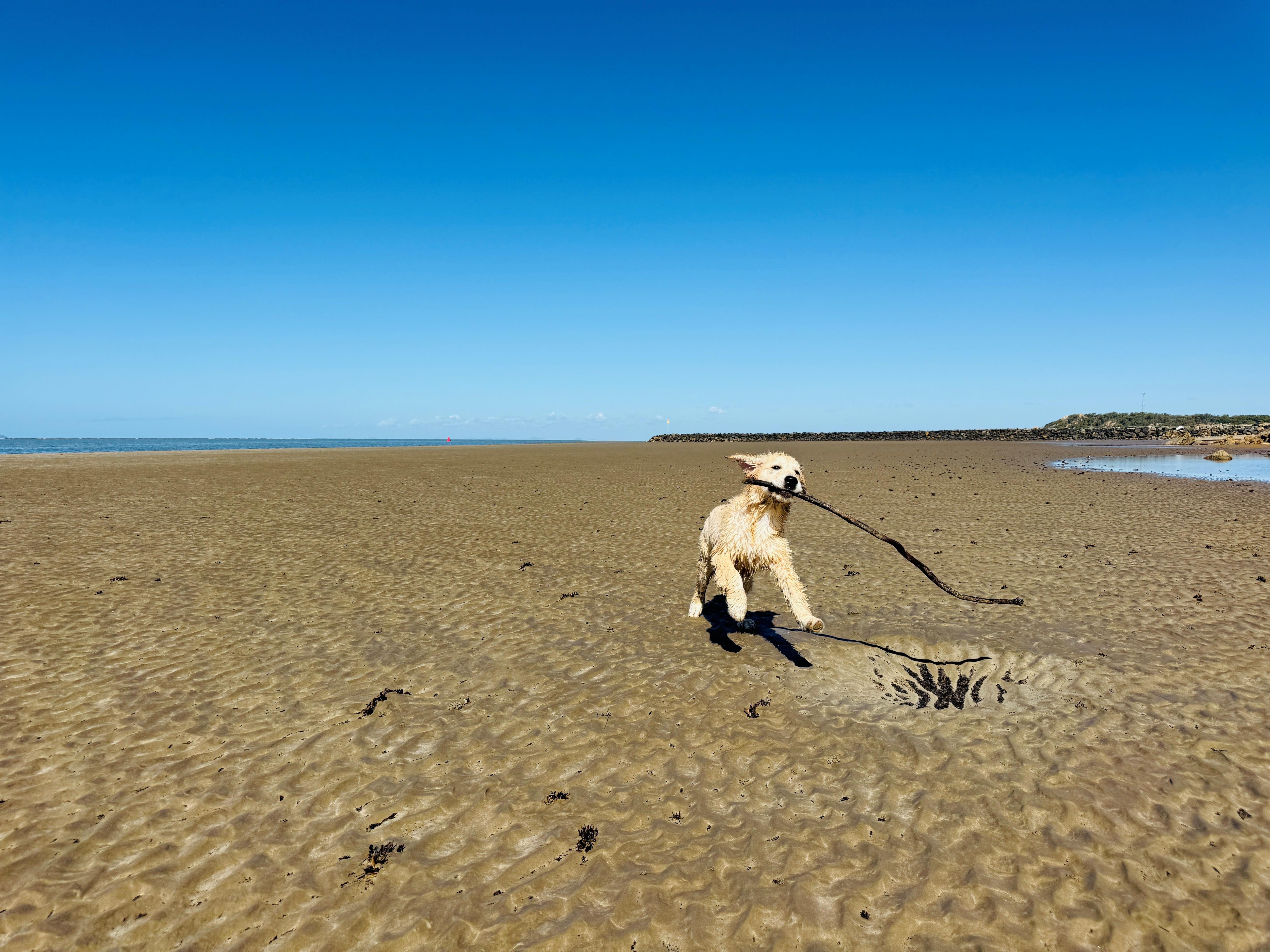 Sunshine and surf expected across Queensland as winter winds down