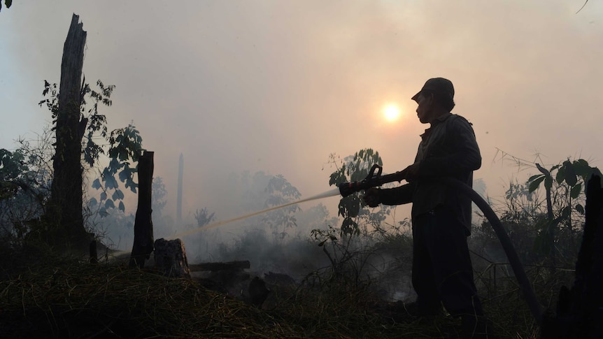 Indonesia's smog hits crisis point during 2013 peak dry season