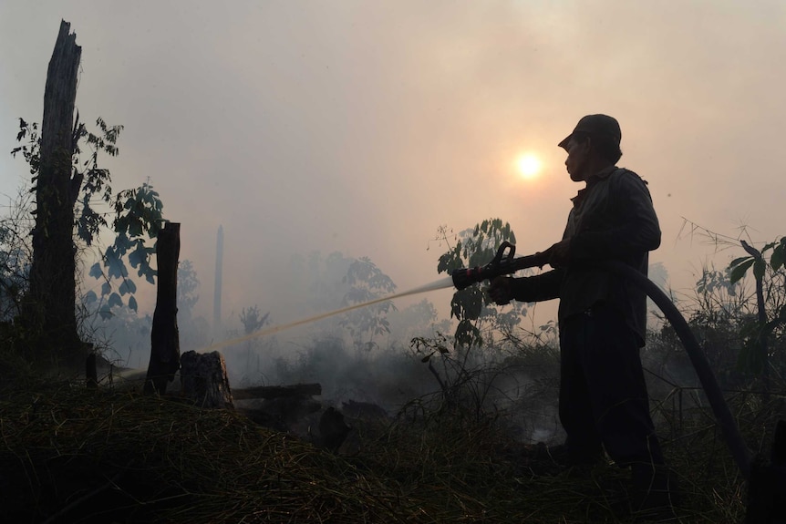 Silhouette of a man fighting fire on a palm oil plantation.