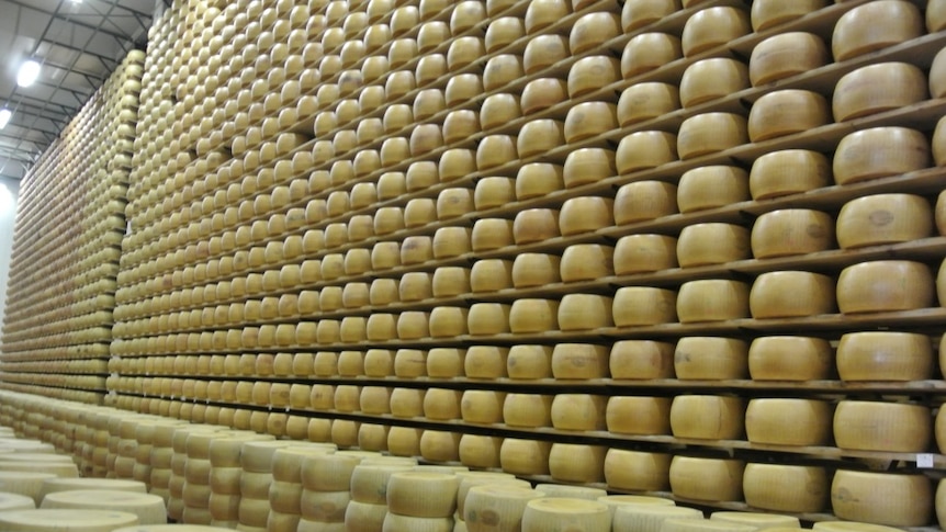 Shelves stacked floor to ceiling with wheels of cheese