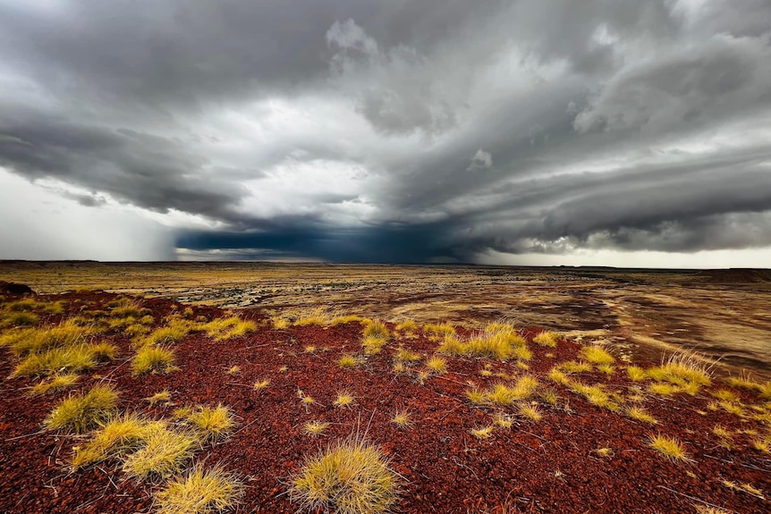 Rains over the kimberley