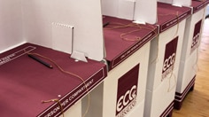 A row of cardboard voting booths used in Queensland election from ECQ