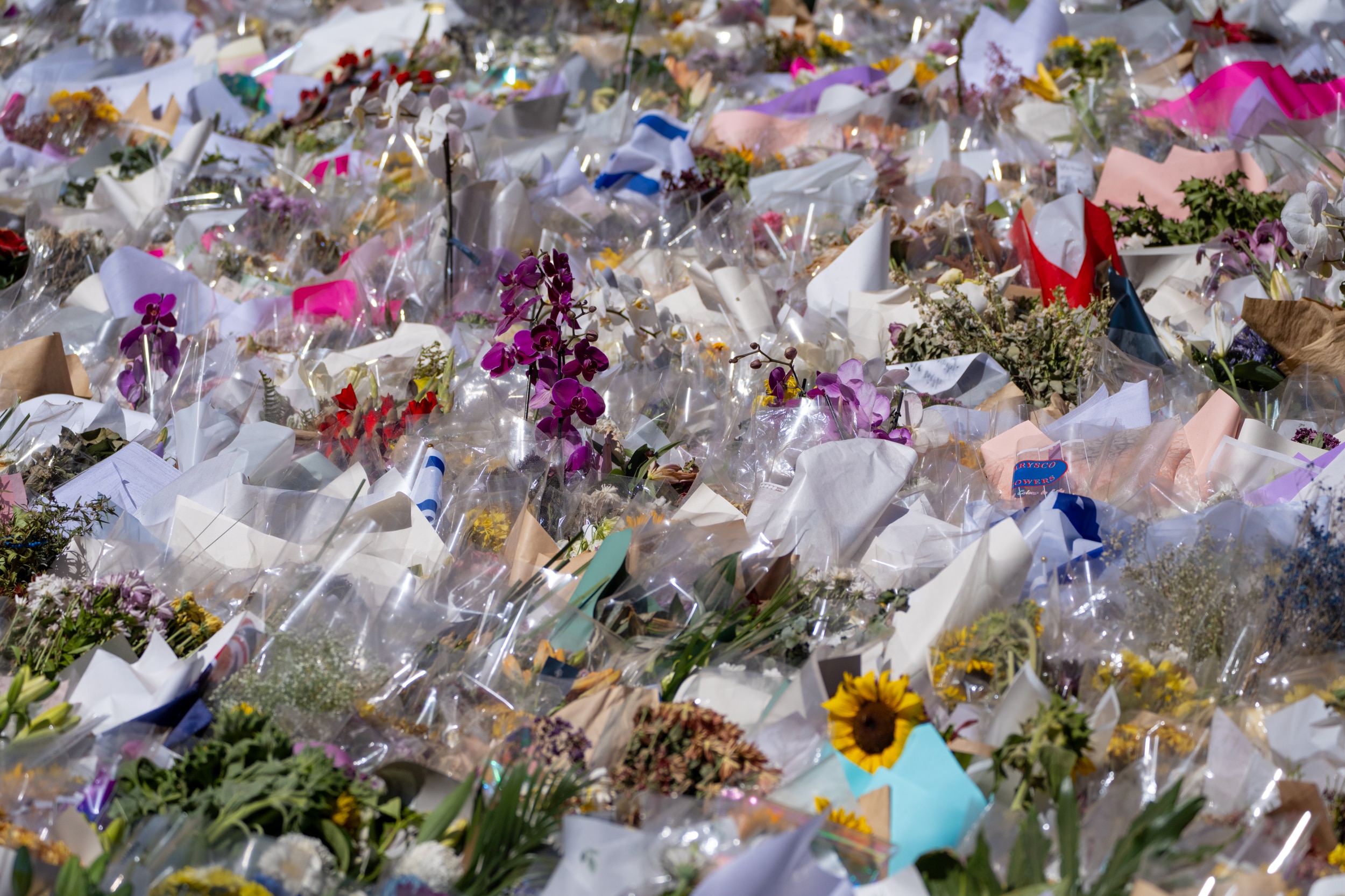 6d3ed8df81230b1c8c7586061e119361?impolicy=wcms_crop_resize&cropH=1667&cropW=2500&xPos=0&yPos=0&width=862&height=575