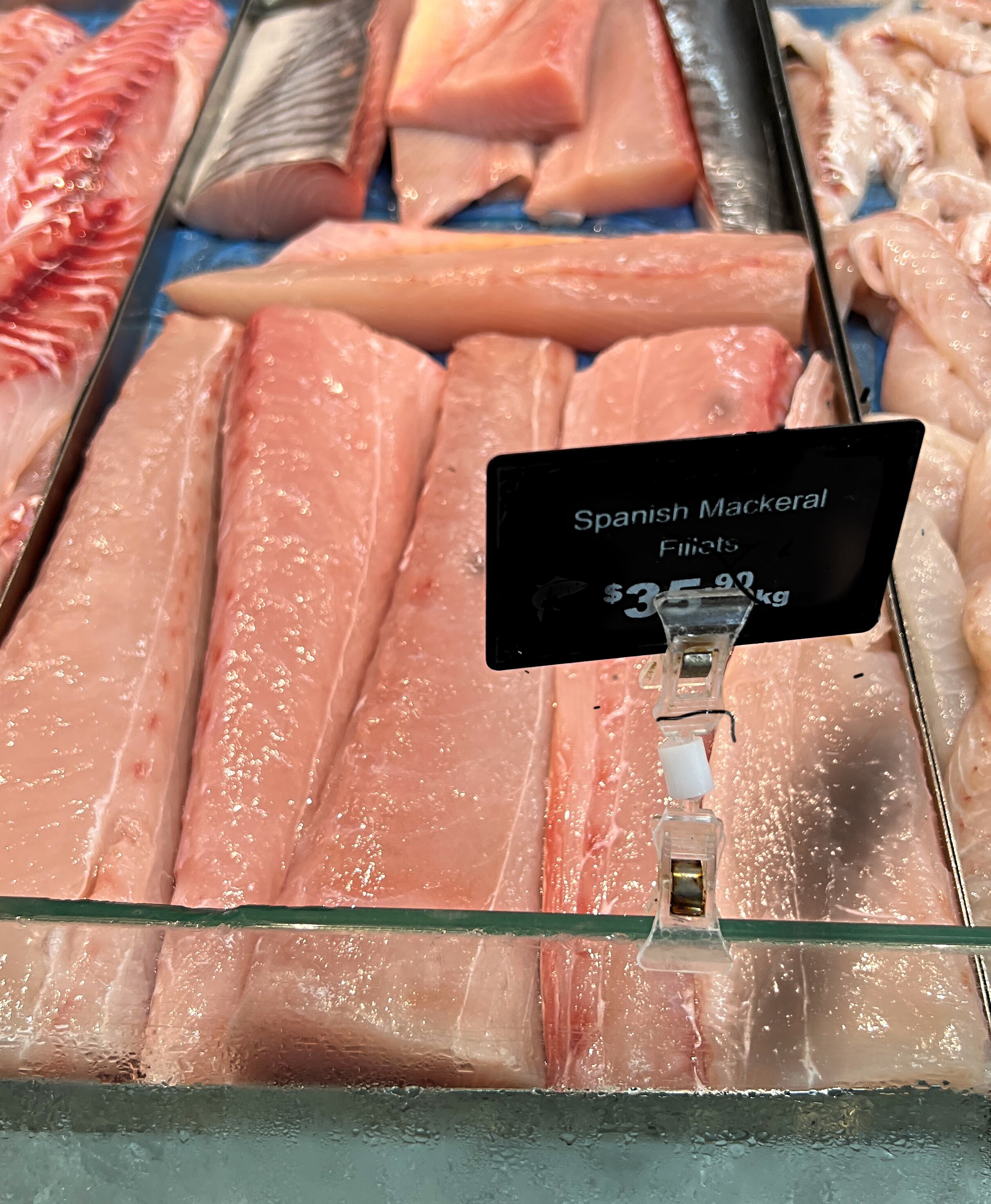 Fisheries Queensland's Spanish mackerel quota to be challenged with independent assessment ABC