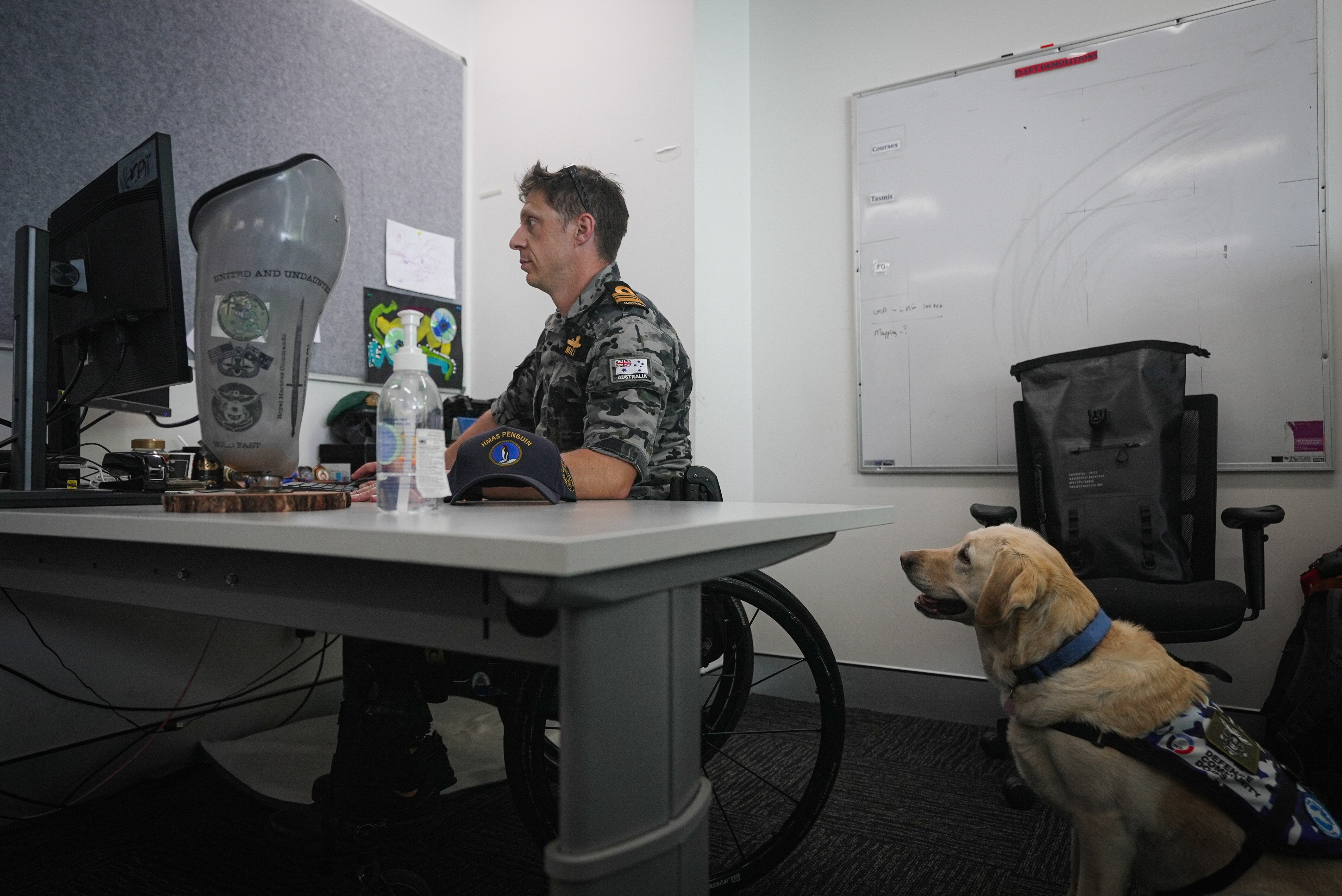 Dave trabaja en su escritorio mientras su perro de servicio, Suki, se sienta a su lado y observa.