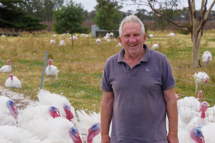 A man in a blue polo shirt smiles at the camera from a paddock with turkeys in the background. 