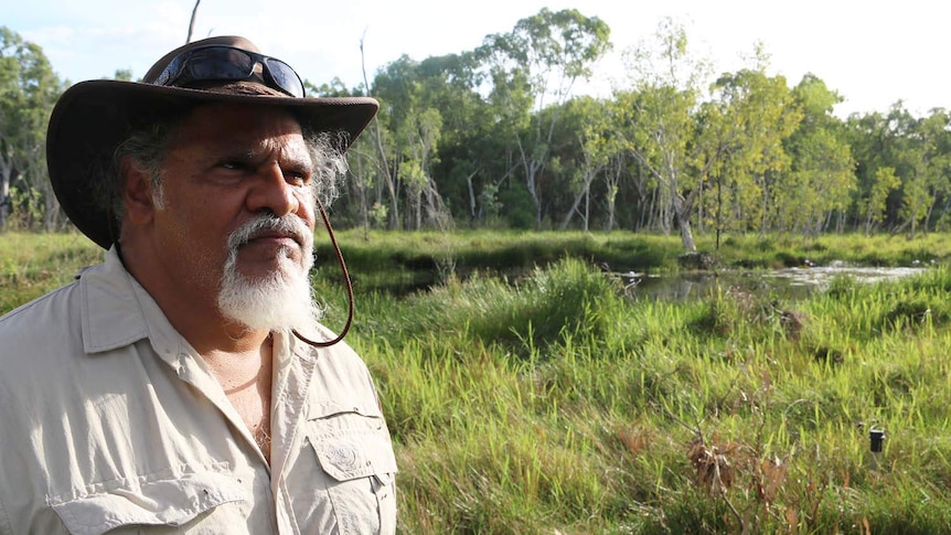 Traditional owner Adrian Burragubba stands looking at wetlands and trees near Adani's Carmichael coal mine site.