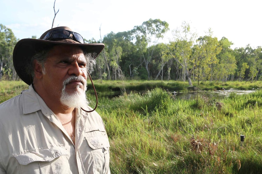 Traditional owner Adrian Burragubba stands looking at wetlands and trees near Adani's Carmichael coal mine site.