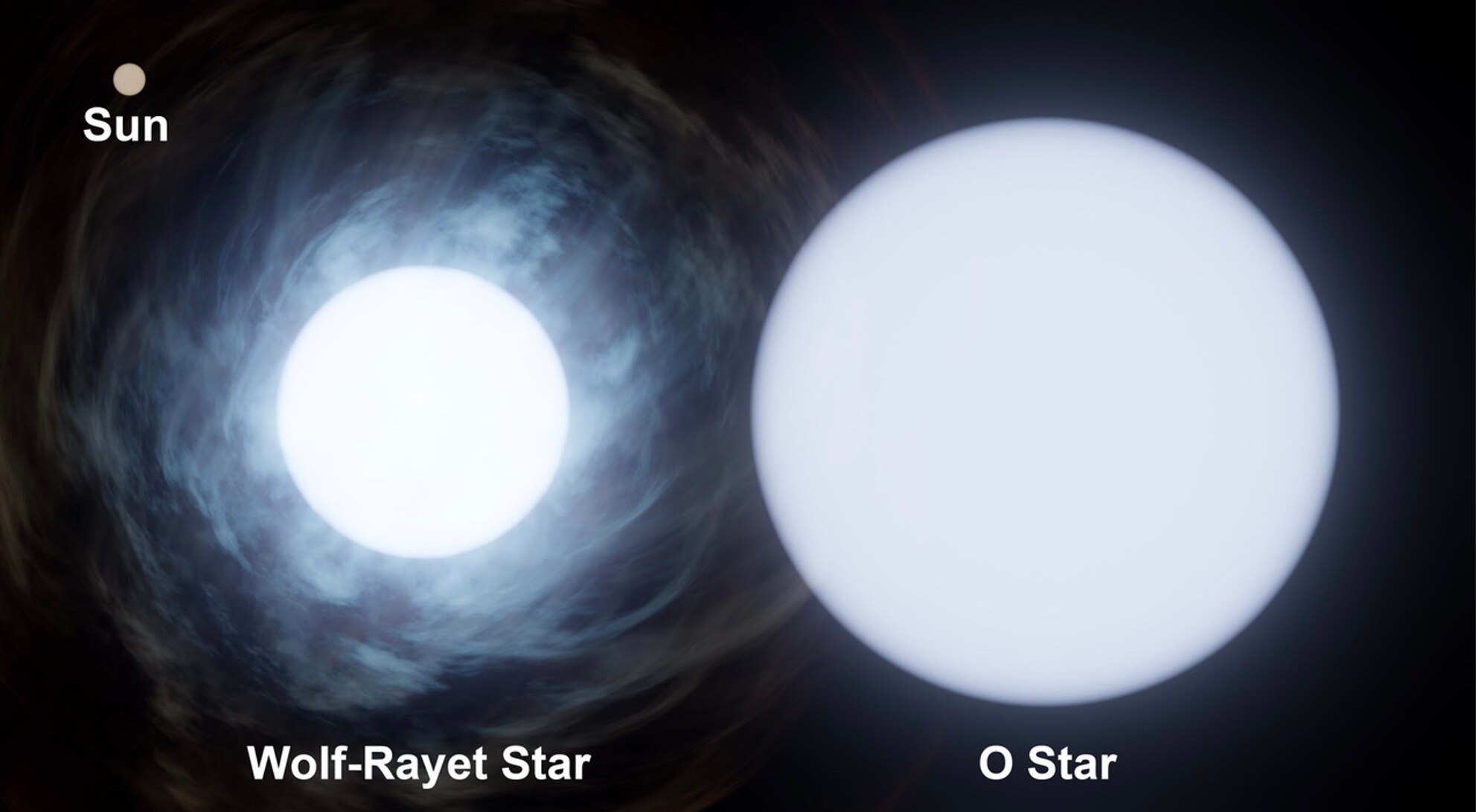 Wolf-Rayet and O-type star compared with our Sun.