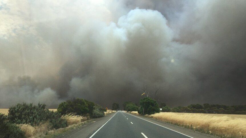Bushfire burns in the area near Mallala
