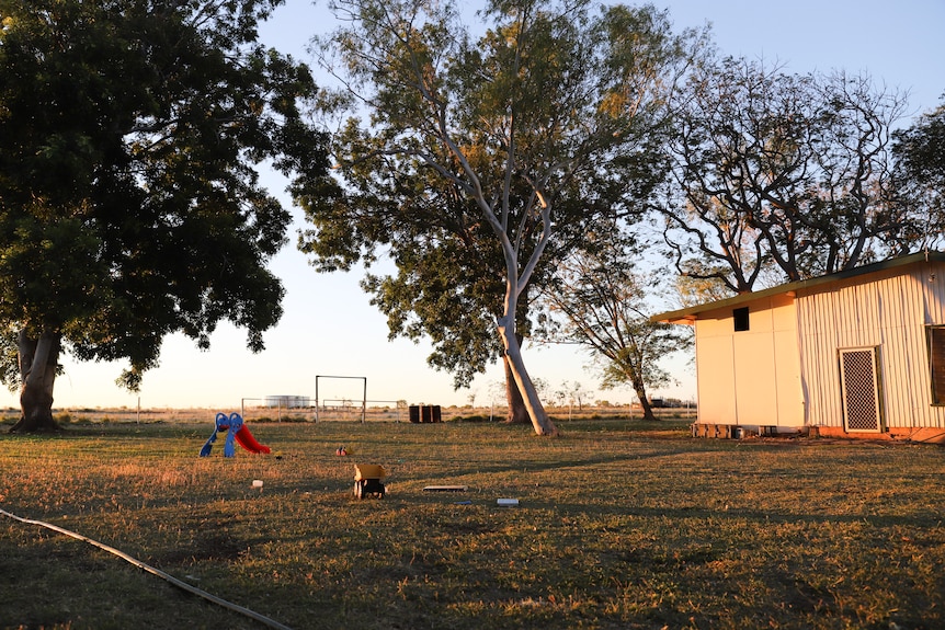 A large grassy paddock surrounded by tall gums and a farm building. A plastic slippery slide and metal Tonka truck on the lawn