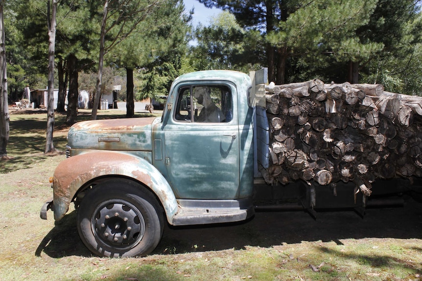 The truck that takes up a large chunk of space on Mr Dolbey's front yard