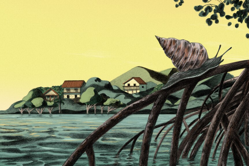 An illustration of a snail climbing a mangrove with houses in the background.