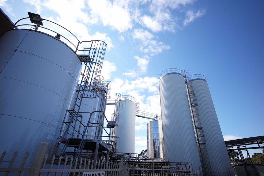 Low angle view of a dairy processing facility.