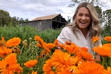 A woman smiles behind a row of beautiful orange flowers with a rusic barn in the background.