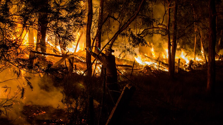 Bushfire hazard reduction efforts in NSW