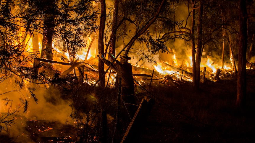 Bushfire hazard reduction Cobargo NSW