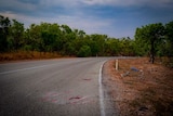 Road markers have been knocked over at the scene of the crash