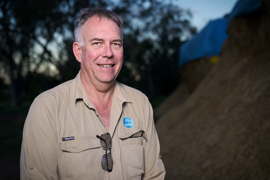 A man in a khaki shirt looks at the camera