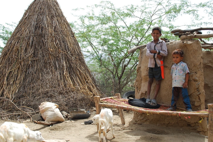 Two boys stand next to a thatched hut in Yemen with goats foraging on the ground.
