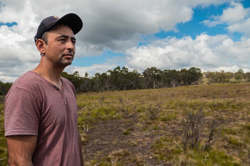 Andry Sculthorpe from the Tasmanian Aboriginal Centre looks over a grasslands that were recently burnt with patch-burning.