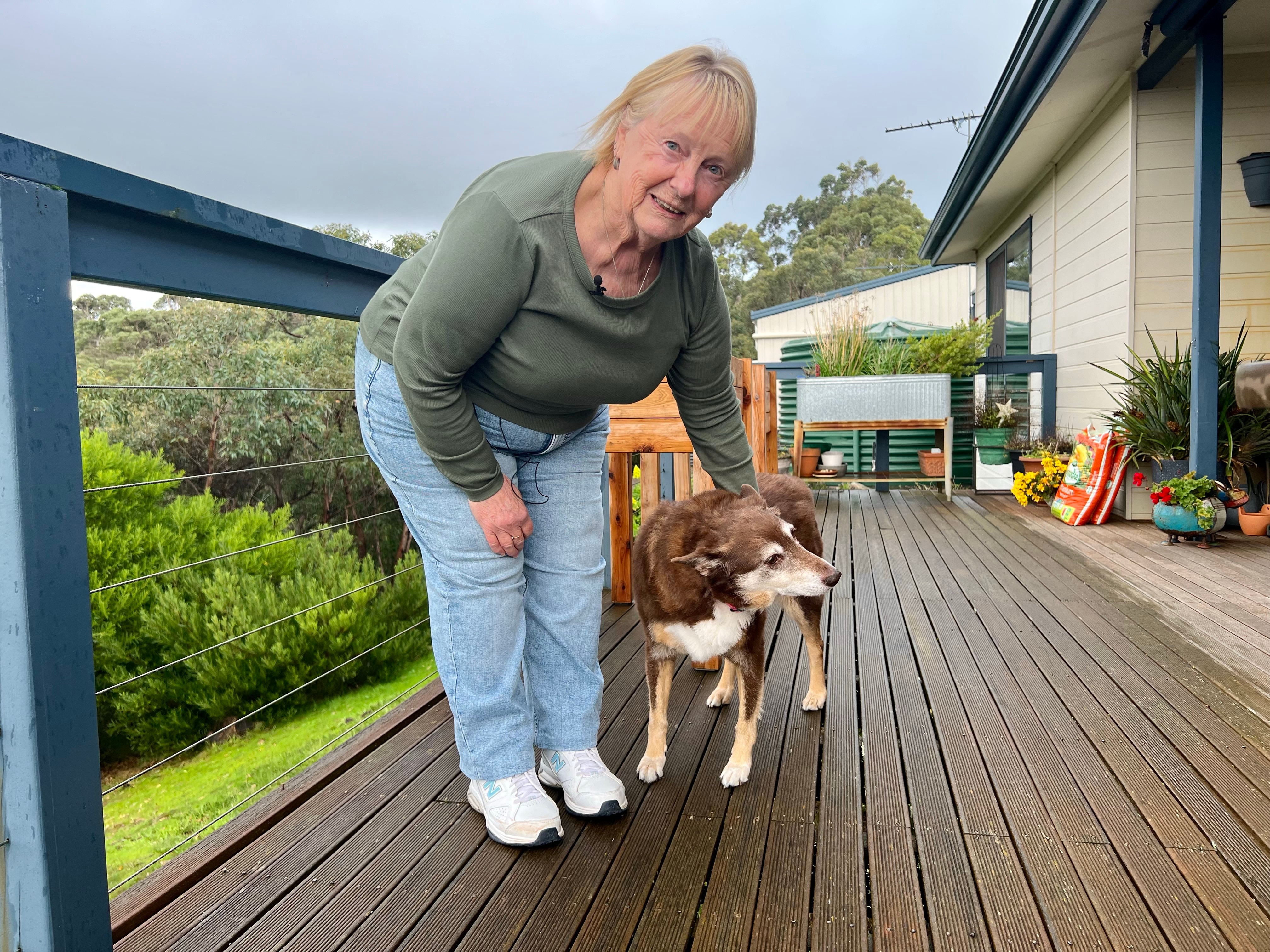 A woman with a dog on a deck