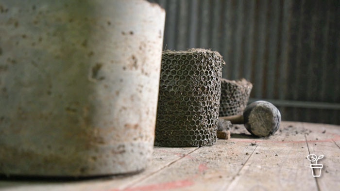 Row of concrete pots on a bench in a shed