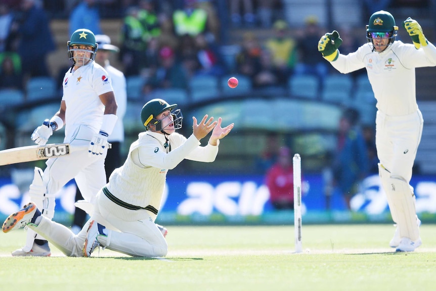 A close catcher dives forward to take the pink ball and dismiss a Pakistan Test batsman.