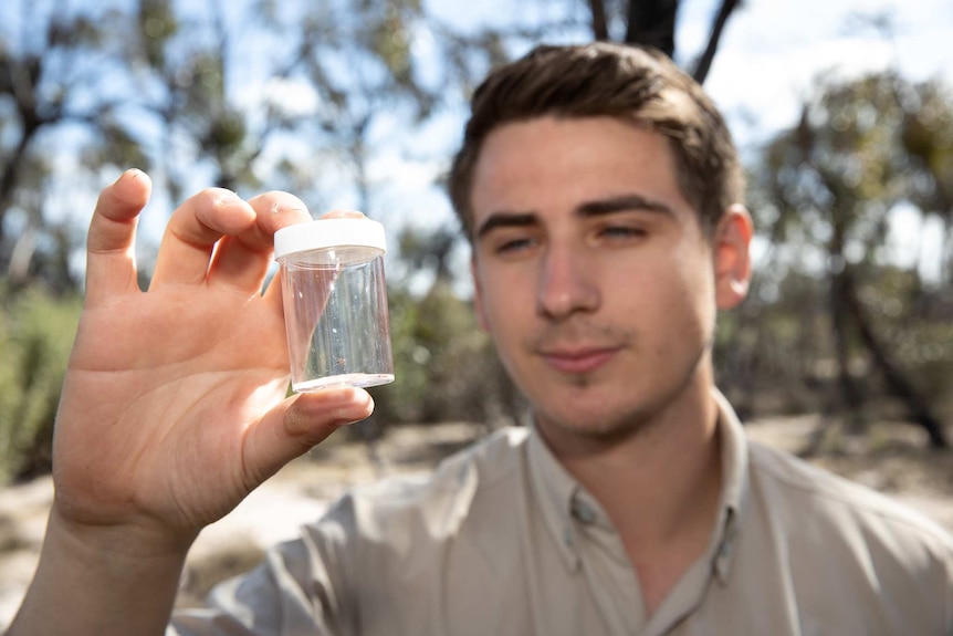 Joseph Schubert holds up and closely examines a jar containing a tiny peacock spider.