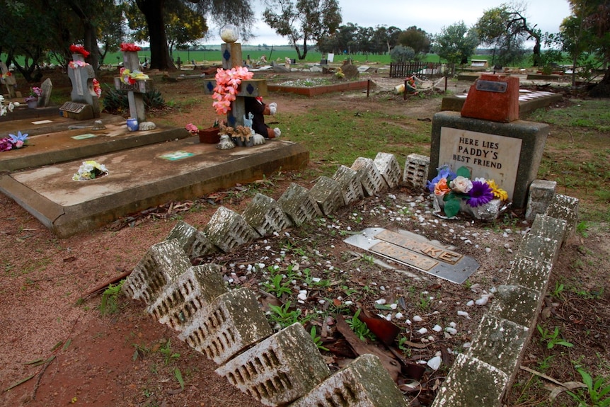 The grave of 'Strike', the first dog buried in 1984