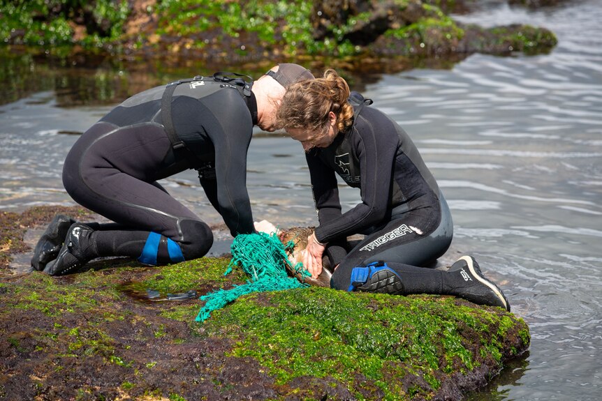Two people in wetsuits kneel on grass near the ocean