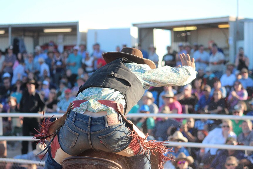 A bronc rider at the 2015 Carrieton Rodeo.