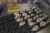 A tray of oysters