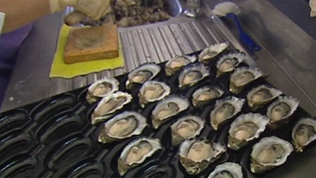 A tray of oysters