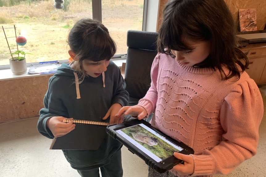 two children playing with ipads 
