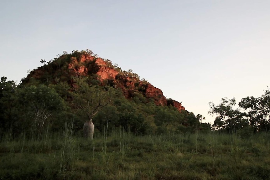 Kelly's Knob in Kununurra, with a boab tree in the foreground.