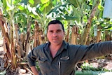 A Mareeba banana farm is back in production after gaining approval under a new biosecurity protocol